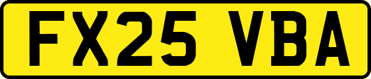 FX25VBA