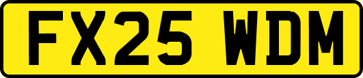 FX25WDM