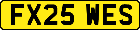 FX25WES
