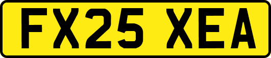 FX25XEA
