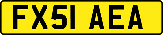 FX51AEA