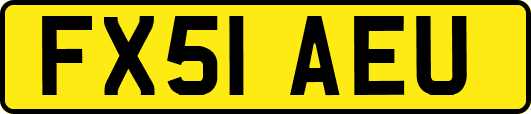 FX51AEU