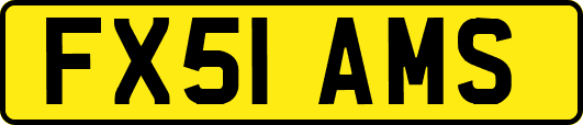 FX51AMS