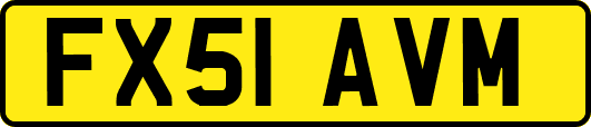 FX51AVM