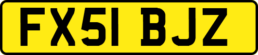 FX51BJZ