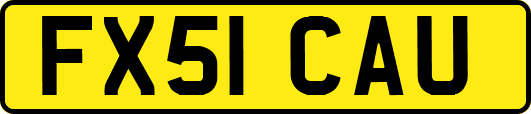 FX51CAU