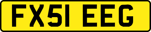 FX51EEG