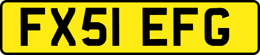 FX51EFG