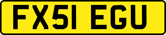 FX51EGU