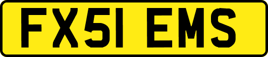 FX51EMS