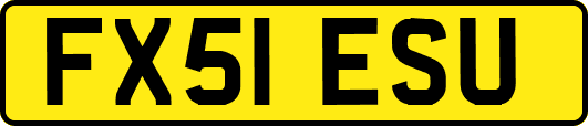 FX51ESU