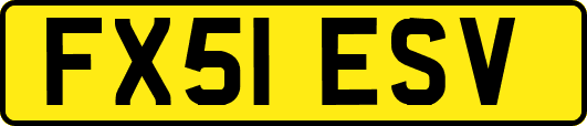 FX51ESV