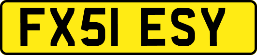 FX51ESY