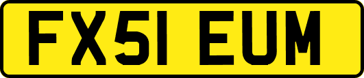 FX51EUM