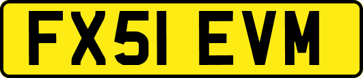 FX51EVM