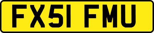 FX51FMU