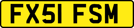 FX51FSM