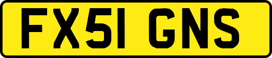 FX51GNS