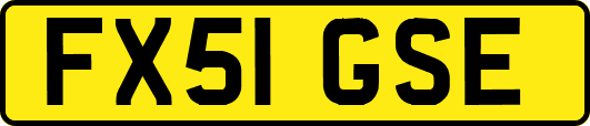 FX51GSE