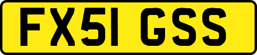 FX51GSS