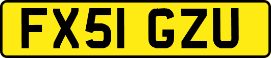 FX51GZU