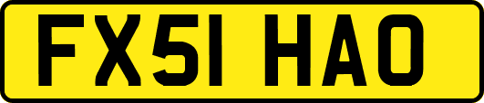 FX51HAO