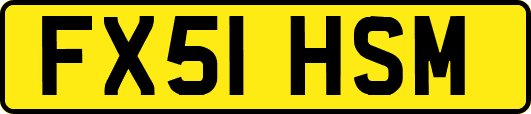 FX51HSM