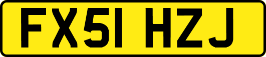 FX51HZJ