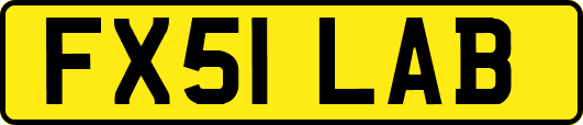 FX51LAB