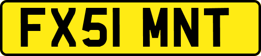 FX51MNT