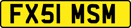 FX51MSM