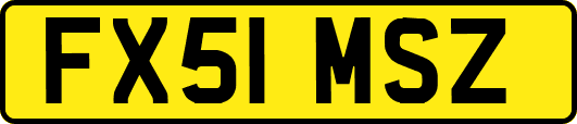 FX51MSZ