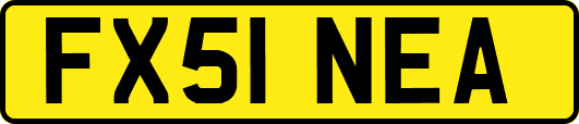 FX51NEA