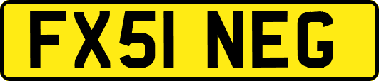 FX51NEG