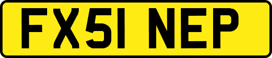 FX51NEP