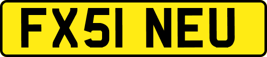 FX51NEU