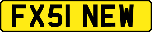 FX51NEW