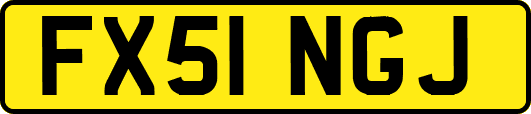 FX51NGJ