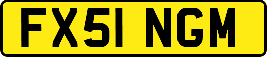 FX51NGM