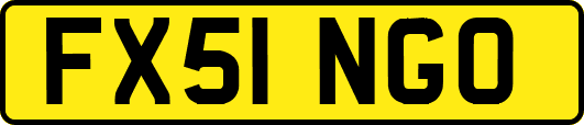 FX51NGO