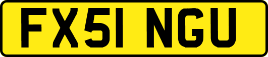 FX51NGU