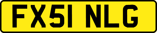 FX51NLG