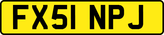 FX51NPJ