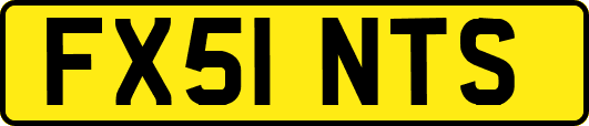 FX51NTS