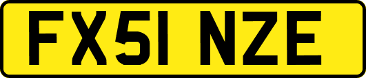 FX51NZE