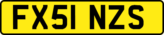 FX51NZS