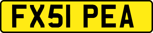 FX51PEA