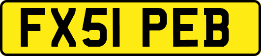 FX51PEB