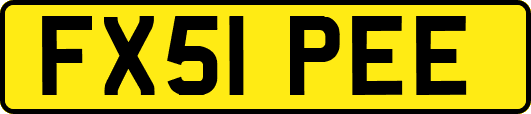 FX51PEE