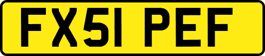 FX51PEF